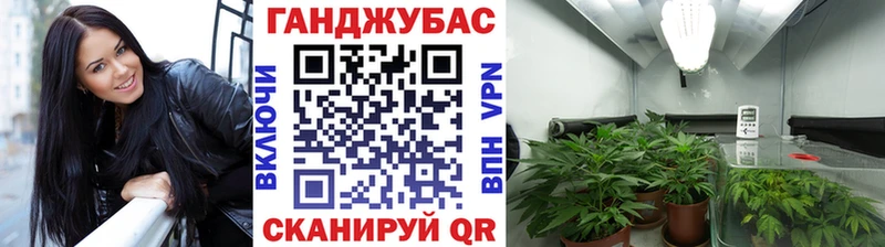 А ПВП Багратионовск