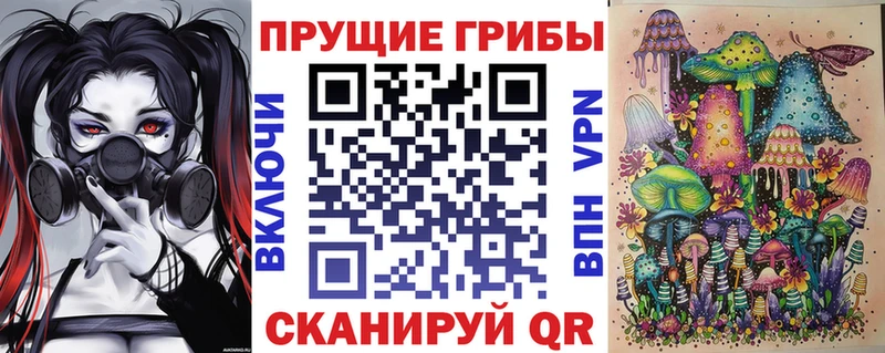 блэк спрут вход Багратионовск Галлюциногенные грибы ЛСД